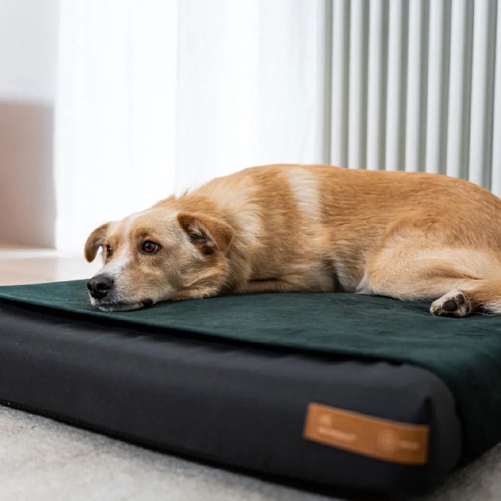 Fekete ortopédiai matrac kutyáknak 110x90 cm Ori XXL – Rexproduct
