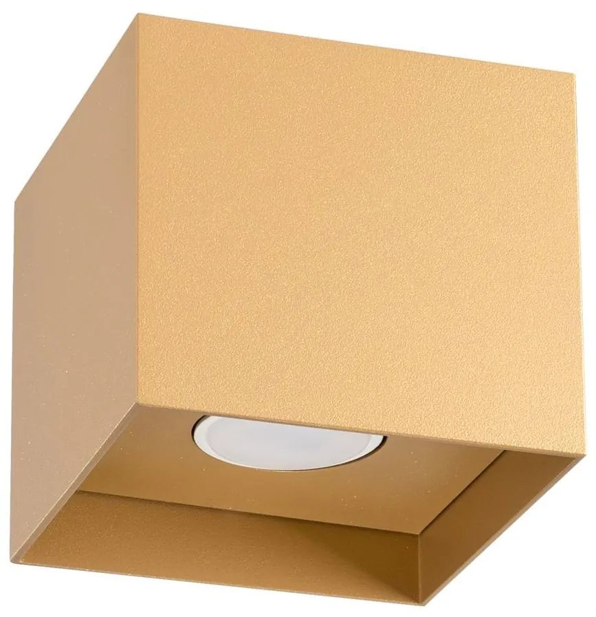 Sollux SL.1279 - Spotlámpa HATI 1xGU10/10W/230V arany