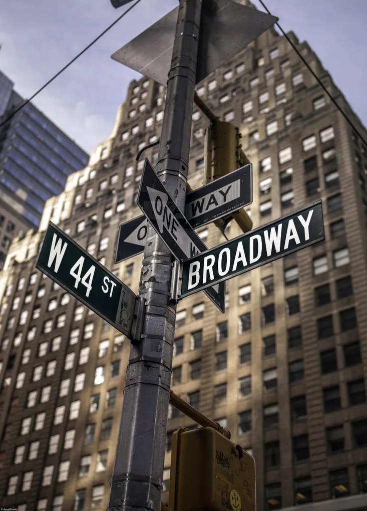 Poszter 39,5x55cm Utcatáblák New Yorkban 2, Assaf Frank