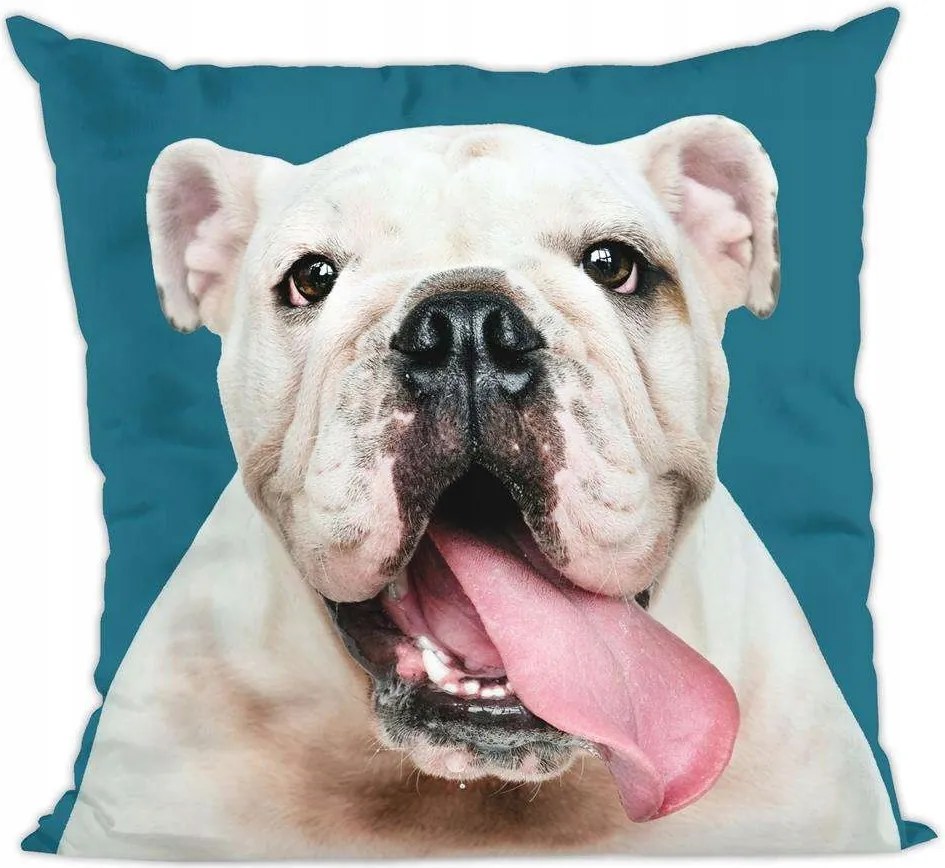 Kutya párna, bulldog kutyus