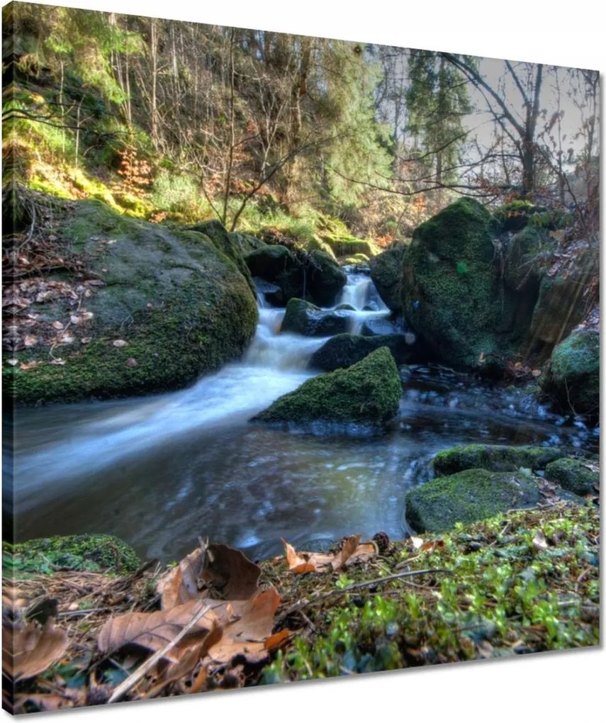 Vászonkép 50x50 Kéz a hegyekben