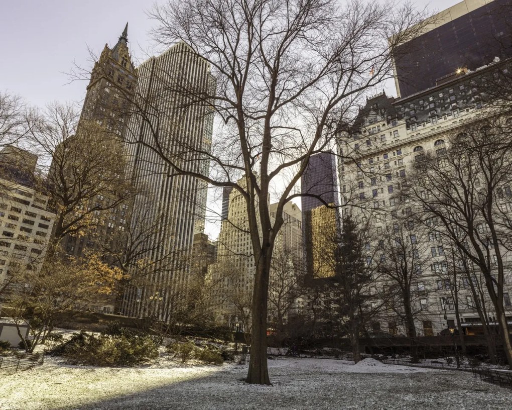 Poszter 50x40cm Központi park panorámával Alsó-Manhattan 2, Assaf Frank