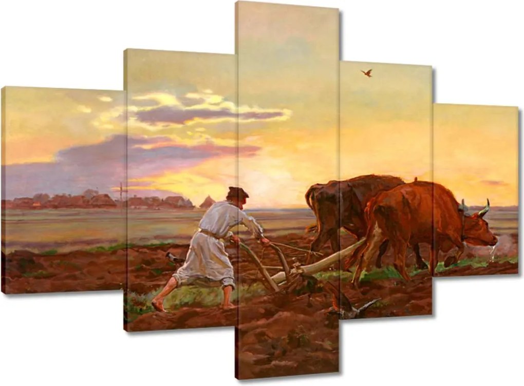 Vászonkép 100x70 Csongrád megyei szántóföld