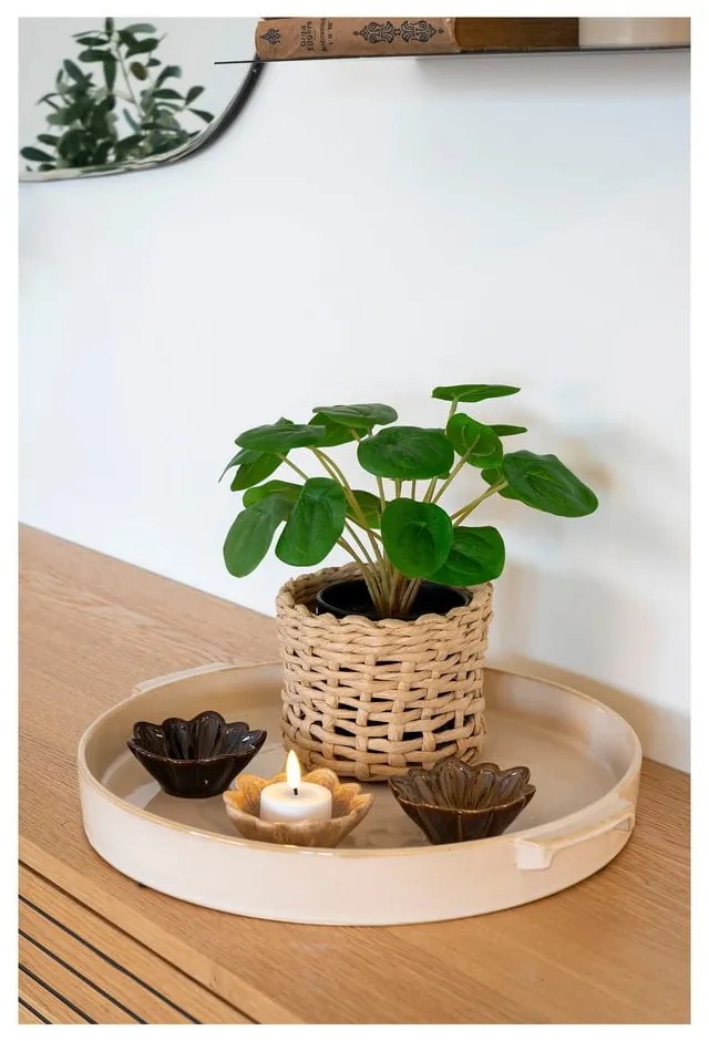 Műnövény (magasság 28 cm) Pelia – House Nordic