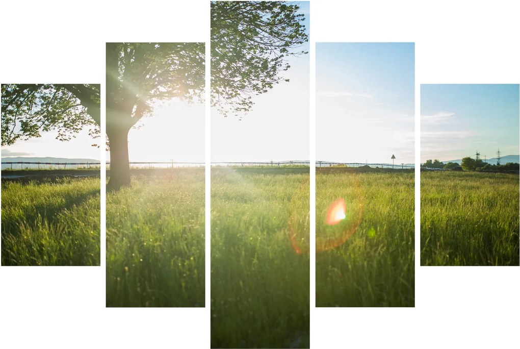 Nyári rét képe (150x105 cm)