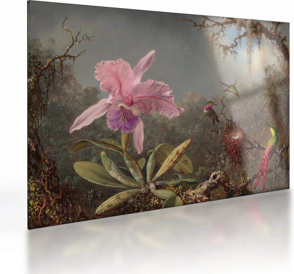 Üveg kép - Martin Johnson Heade, Cattleya Orchid and Three Hummingbirds, reprodukciók (70x50 cm)