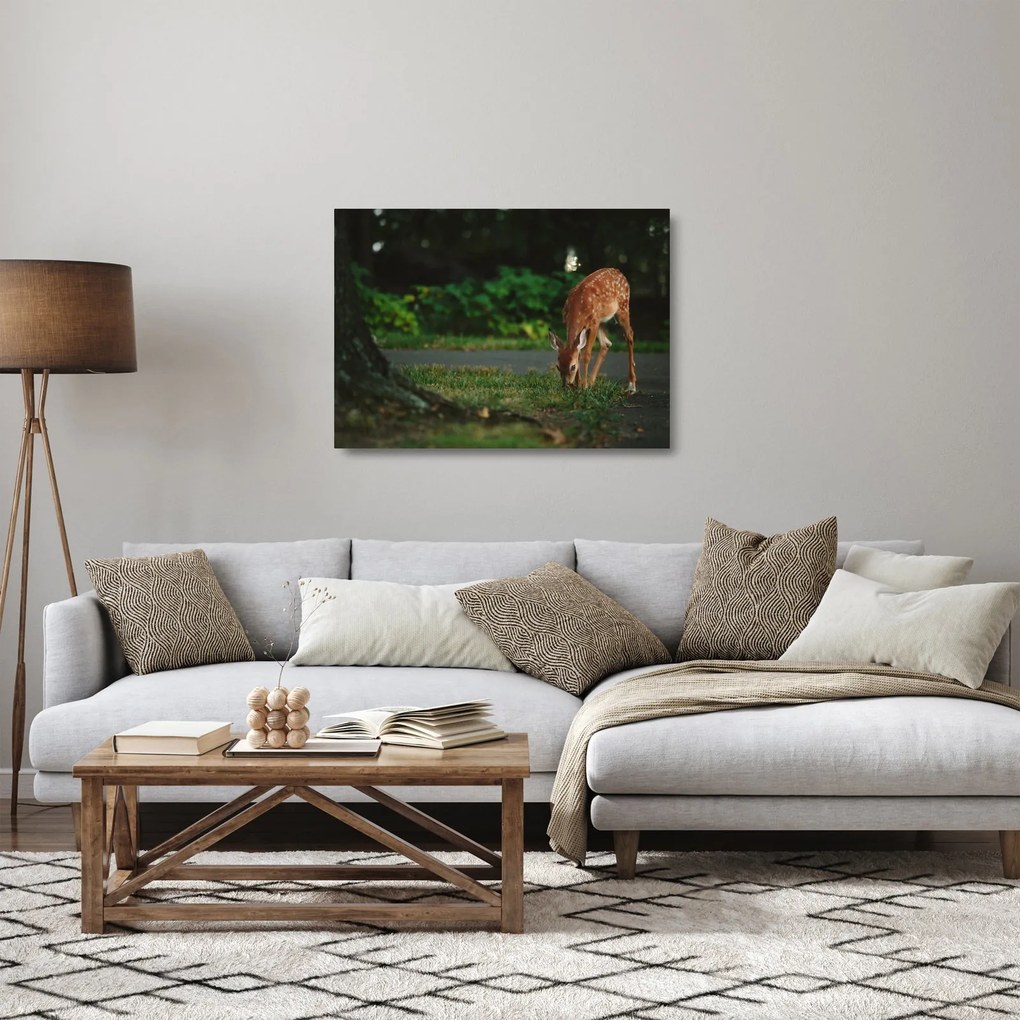 Gida képe (üvegen) (70x50 cm)
