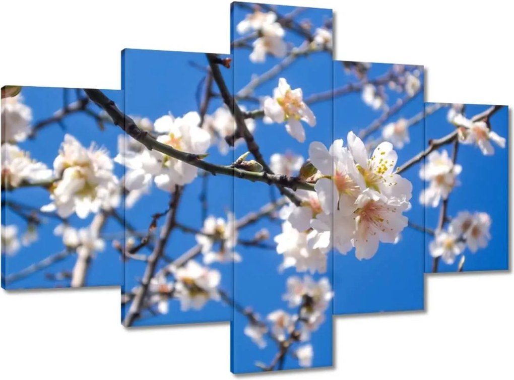 Vászonkép 100x70 Almafa virág