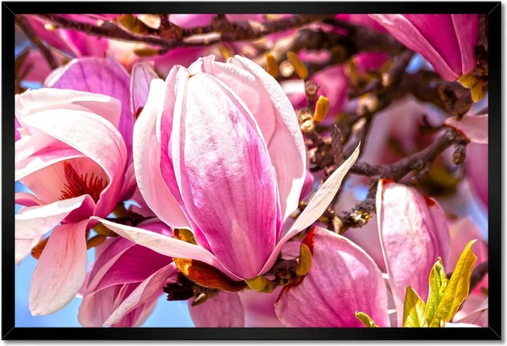 Poszterek keretben 60x40 Virágok