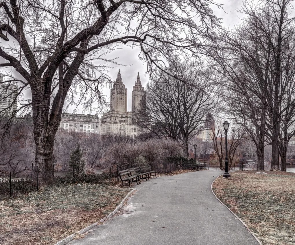 Poszter 60x50cm Ösvény a központi parkon át 2, Assaf Frank