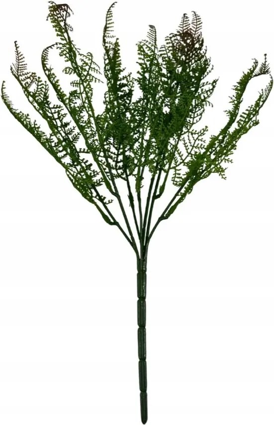 Páfrány csokor páfrány 44 cm