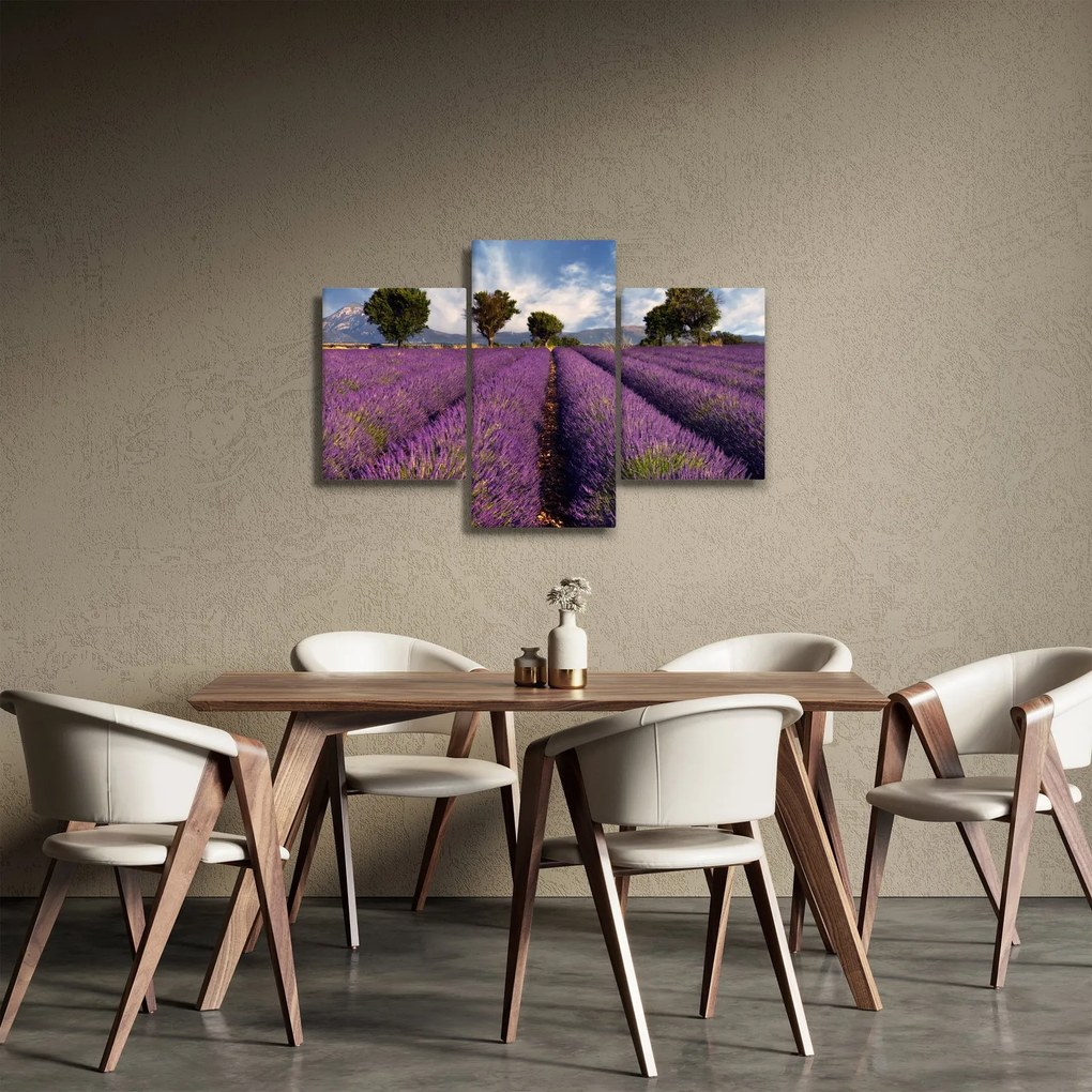 Kép - Levendula mező és hegyek (90x60 cm)