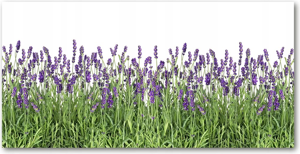Fotó vászonkép edzett üveg Levendula virágok 140x70
