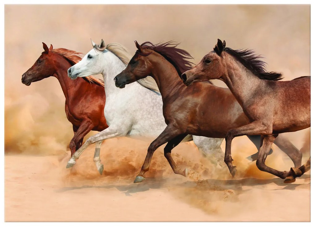 Gario Vászonkép Gyönyöru lovak állománya Méret: 100 x 70 cm