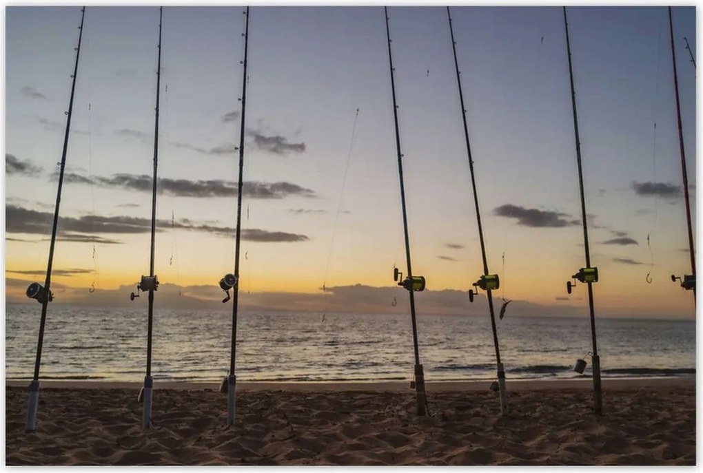 Poszterek 120x80 Kilátás az álló horgászbotokra