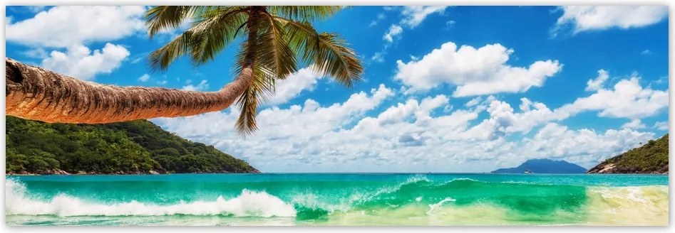 Fotótapéta flizelina 312x104 Paradicsom tengerpart pálmafákkal