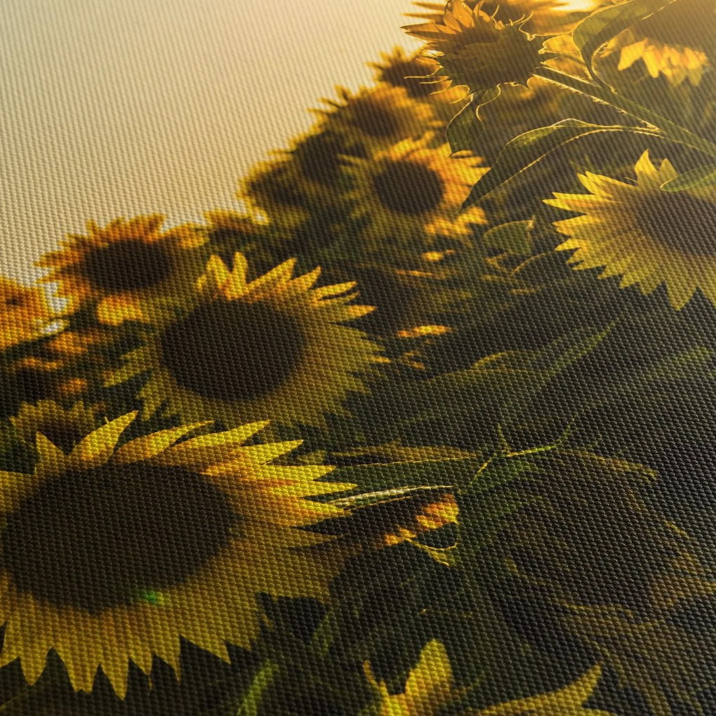 A napraforgó mező képe (120x50 cm)