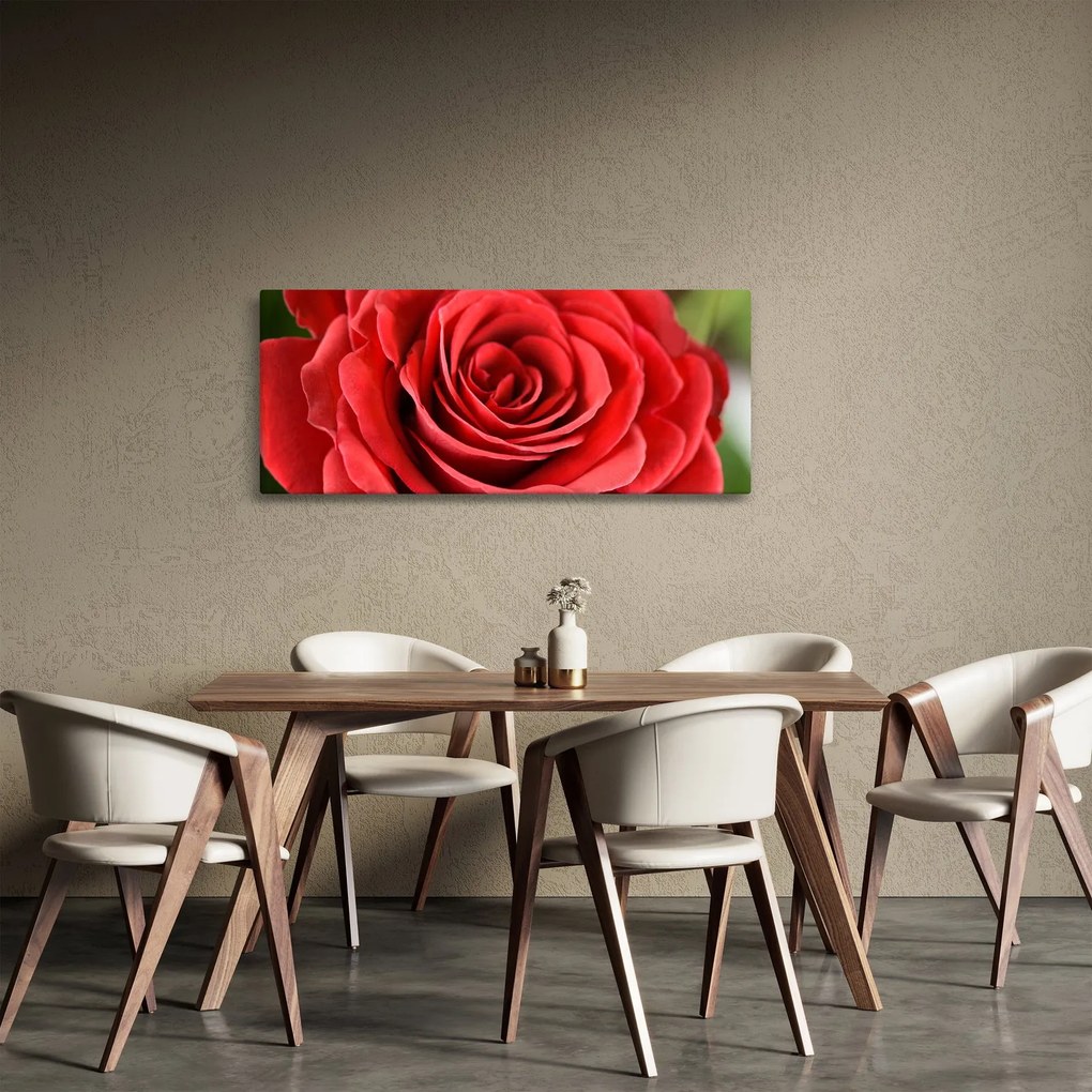 Egy rózsa virág képe (120x50 cm)