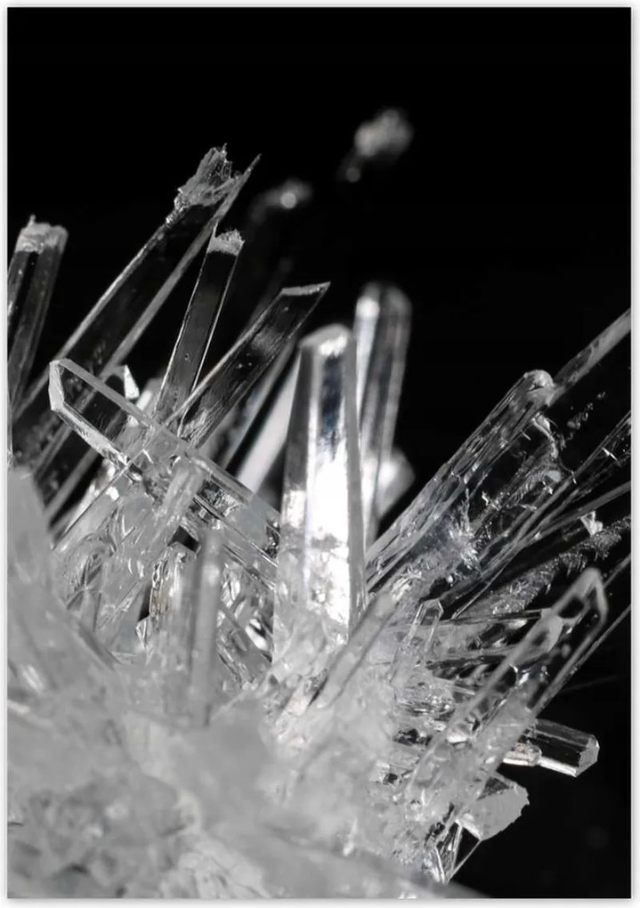 Poszterek 70x100 Makrofotó MacroFoto