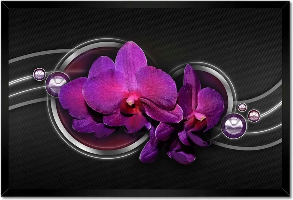 Poszter keretben 60x40 Lila leander