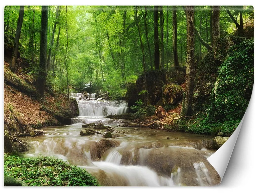 Gario Fotótapéta Víz az erdő közepén Anyag: Vlies, Méret: 400 x 280 cm