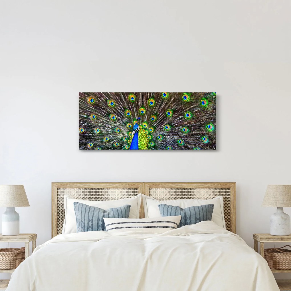 Kép - Páva (120x50 cm)