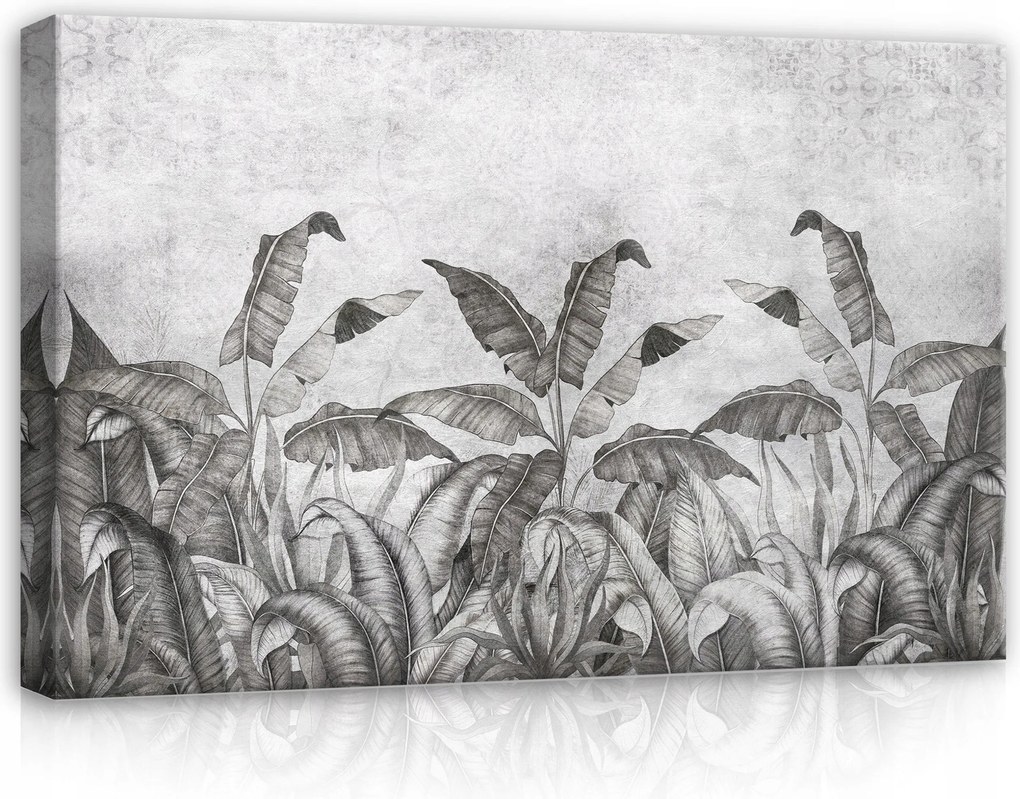 Vászonkép 60x40 Trópusi levelek monokróm grafika természet nyugalom