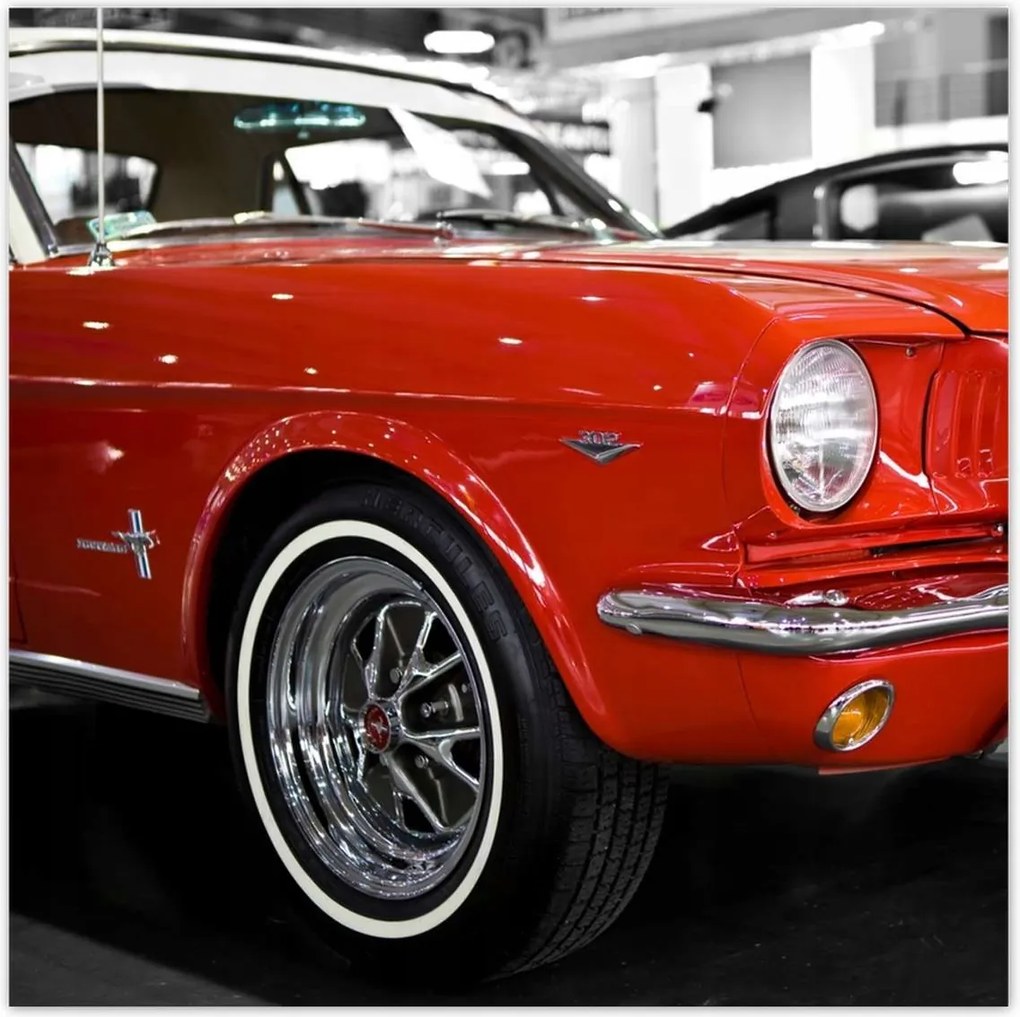 Poszterek 100x100 Piros Mustang