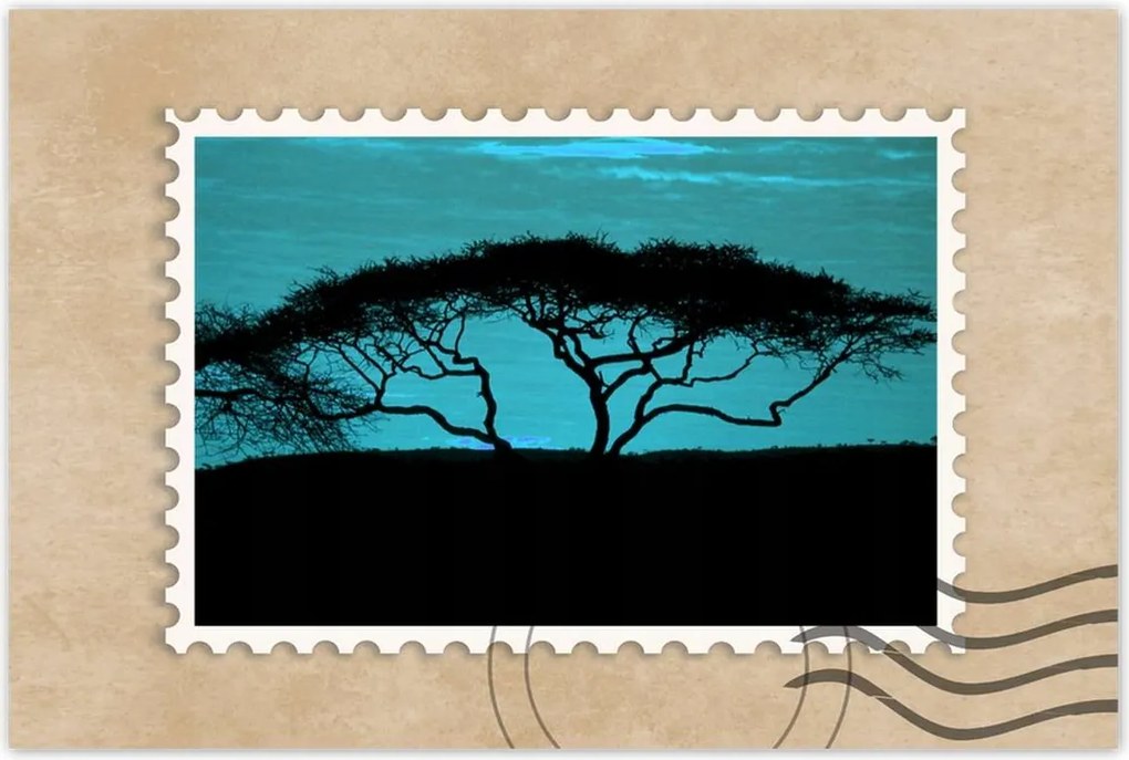 Poszterek 90x60 Akác a szavannán