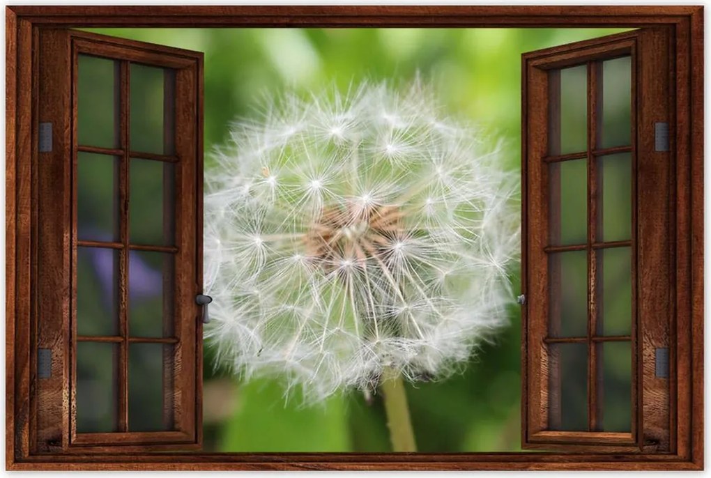 Poszterek 120x80 Pitypang Virág Virágok