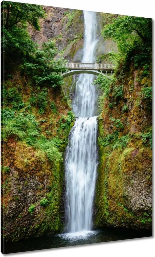 Vászonkép 70x100 Trópusi vízesés Hegyek