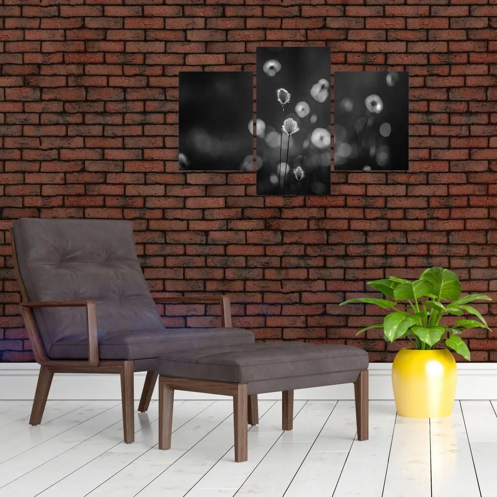 Kép - Pamutfű a réten (90x60 cm)