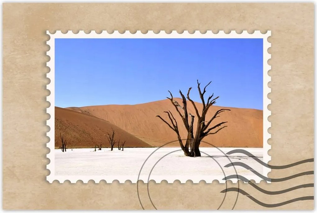 Poszterek 120x80 Fa a sivatagban