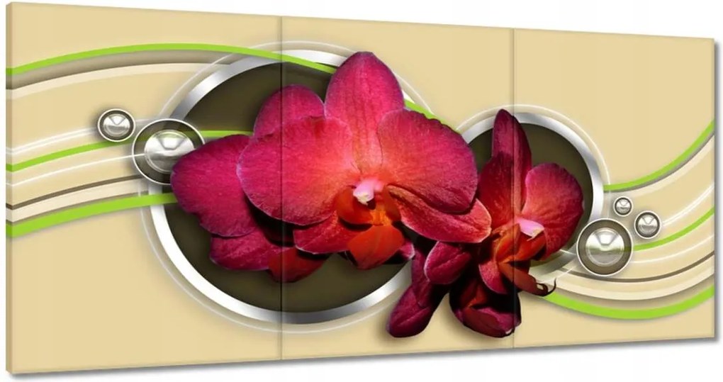 Festmények 120x60 Virágok Absztrakt