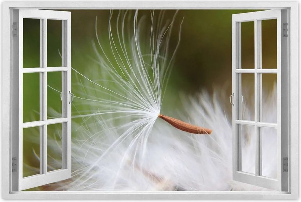 Poszterek 120x80 Pitypang Virág Virágok