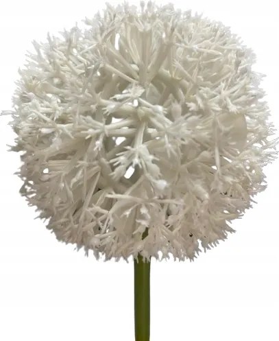 Mesterséges Fehér Fokhagyma, Díszítő Ág, Nádakhoz És Kompozíciókhoz