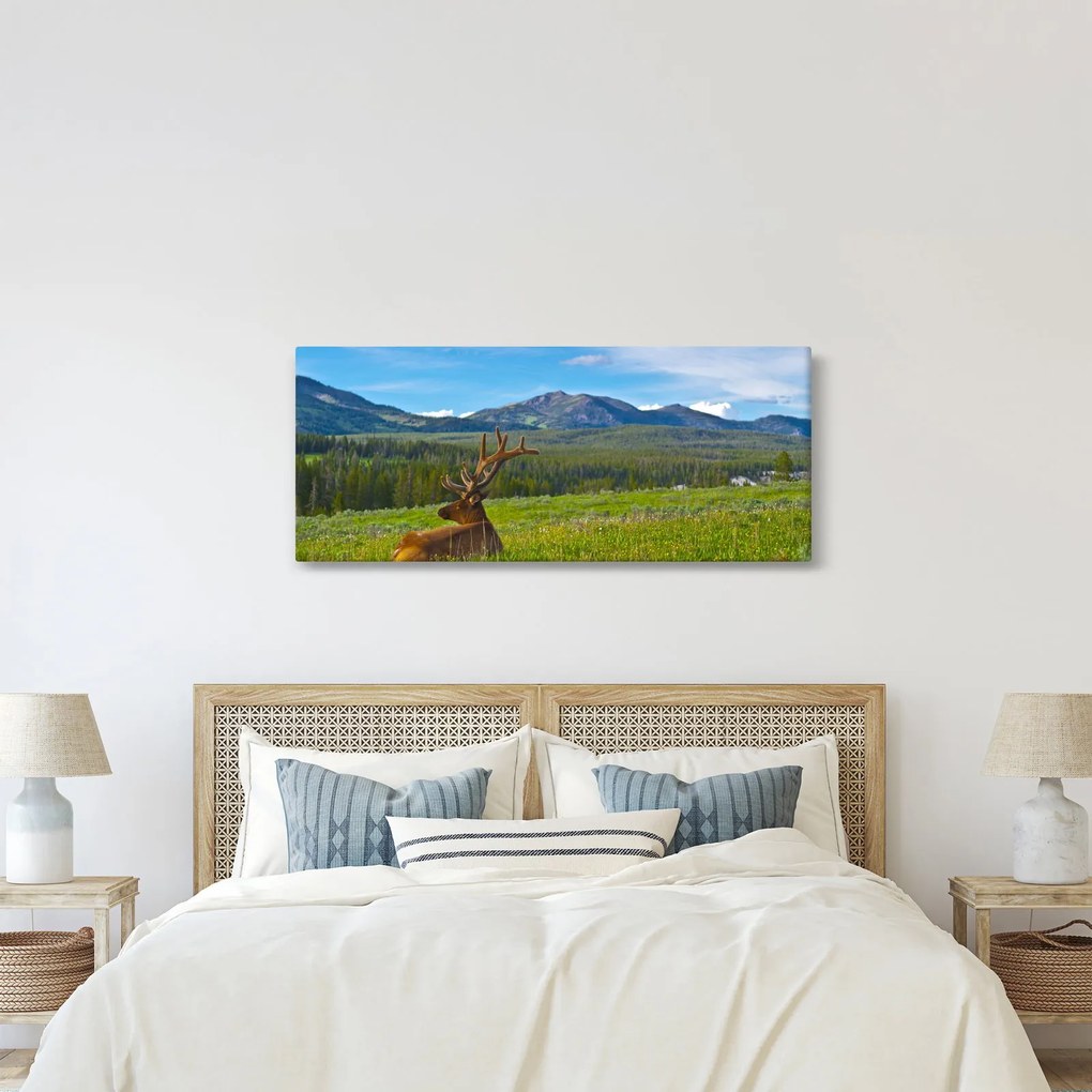 Kép - Szarvas a réten (120x50 cm)