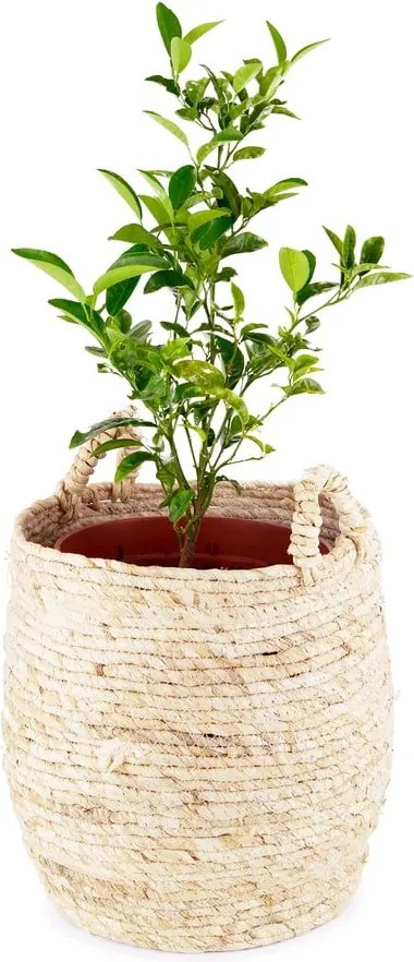 Lhassa tárolókosár, ø 30 cm - Compactor