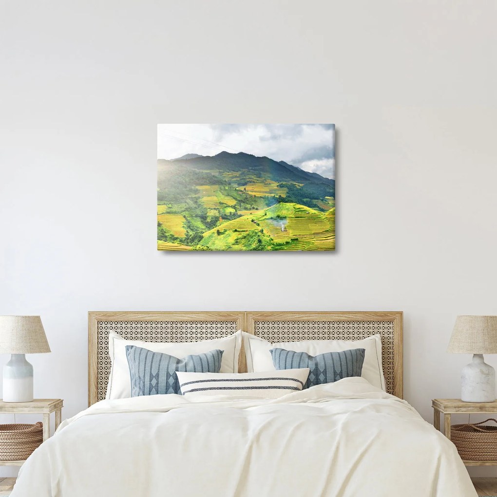 Ültetvények képe (70x50 cm)