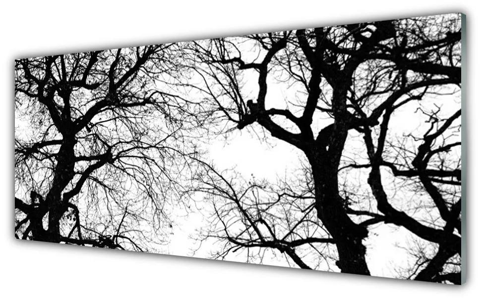 Akrilkép Fák Természet fekete-fehér 100x50 cm