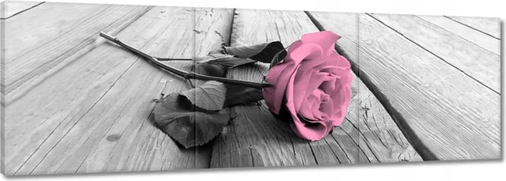 Vászonkép 150x50 Púderrózsa a deszkákon