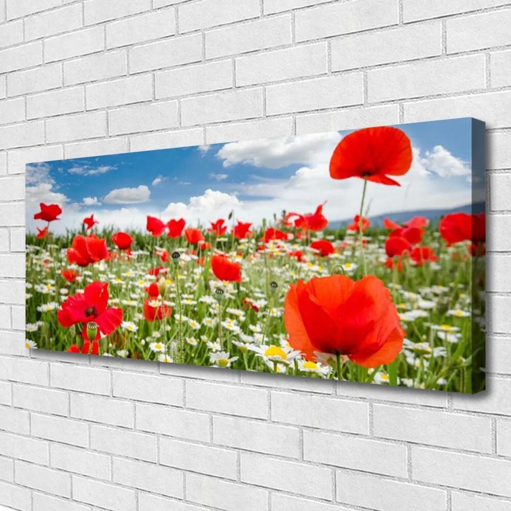 Vászonkép falra Mezei virágok Természet 125x50 cm