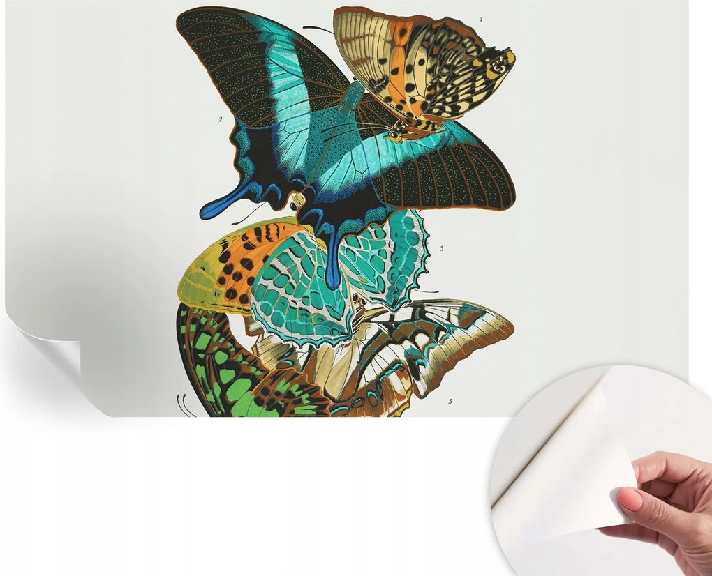 Modern öntapadós fali fotótapéta Színes pillangók 416x254 cm