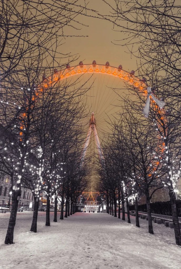 Poszter 61x90,5cm London Eye éjszaka fákkal, Assaf Frank