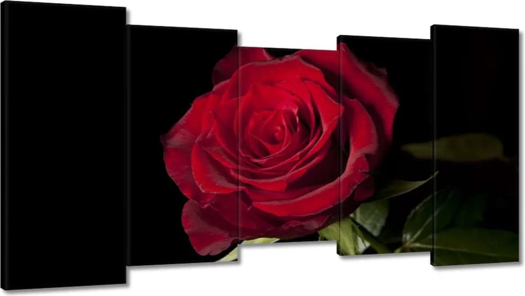 Vászonkép 150x80 Aranyos rózsa