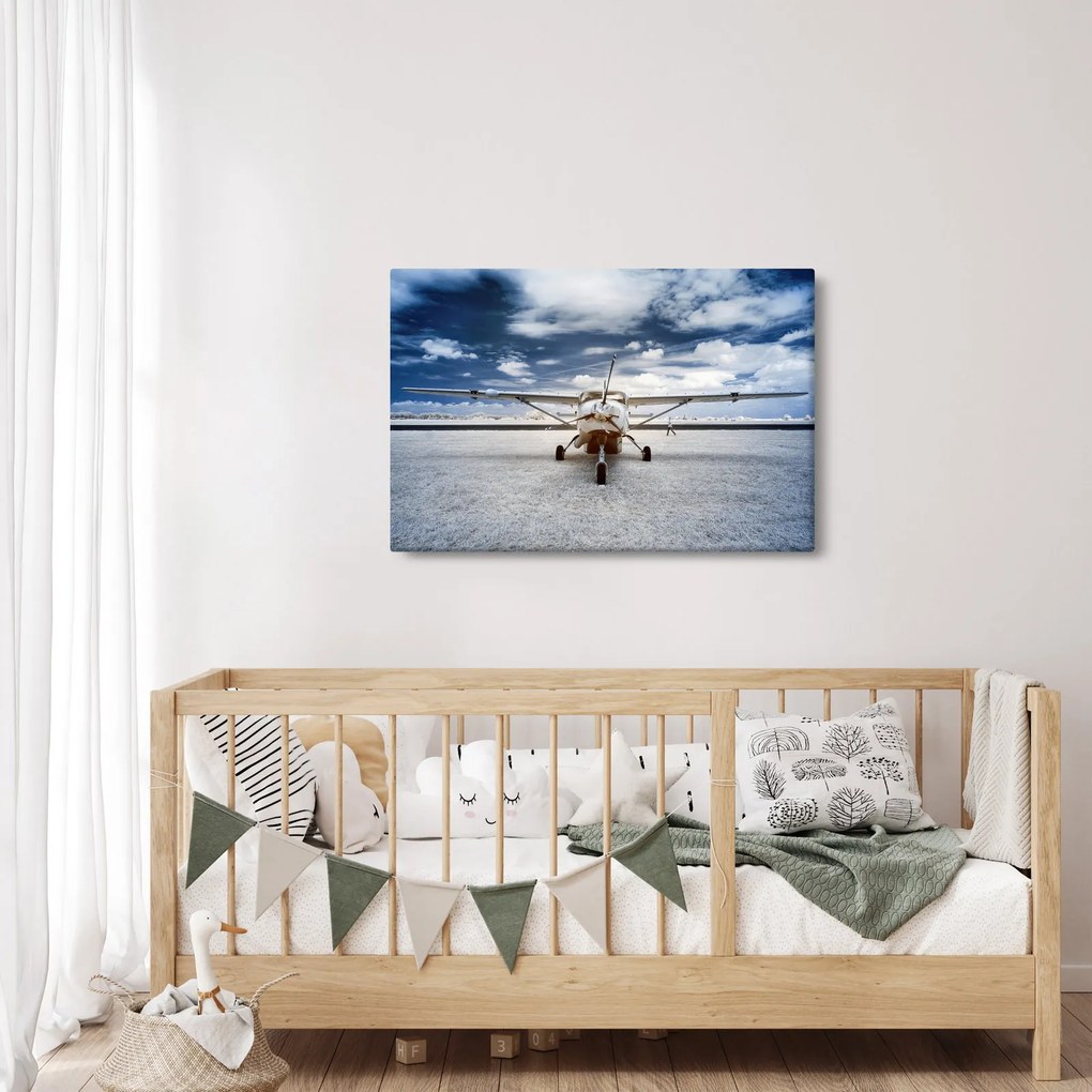Egy motoros repülőgép képe (90x60 cm)