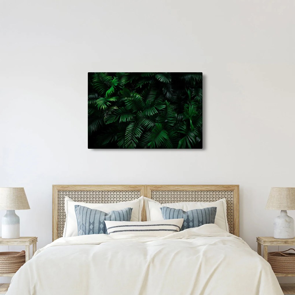 Kép - trópusi páfrány (90x60 cm)