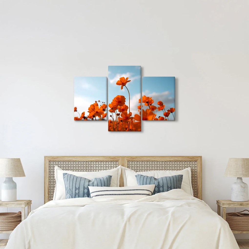 Kép - Réti virágok (90x60 cm)