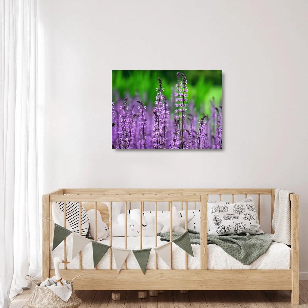 Lila mezei virágok képe (üvegen) (70x50 cm)