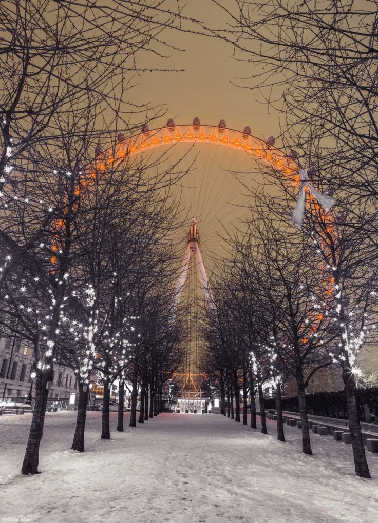 Poszter 20,5x28,4cm London Eye éjszaka fákkal, Assaf Frank